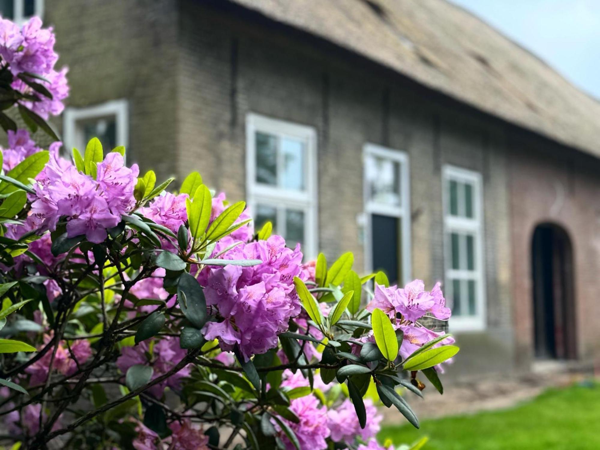 Het Hoevehuys Wagenberg Esterno foto